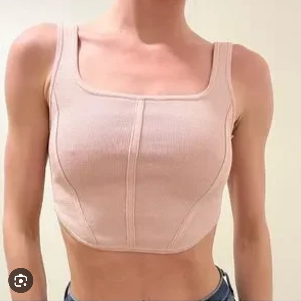 NWOT ARITZIA Babaton sculpt knit corset top size large shell pink
